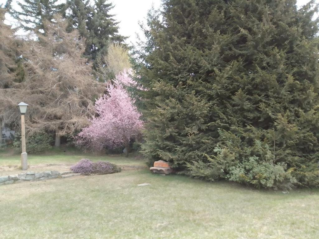 Aparthotel Rupu Pehuen Bariloche Zewnętrze zdjęcie